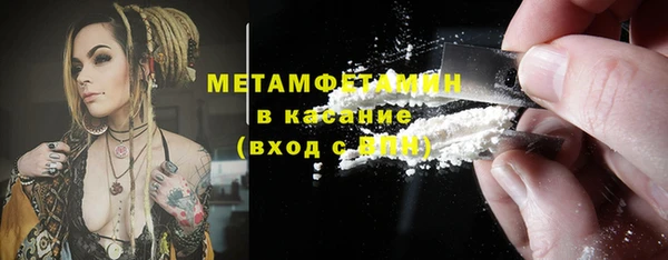 сатива Надым