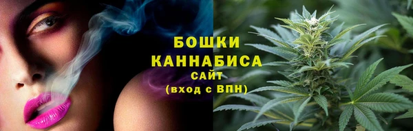 крисы Бикин