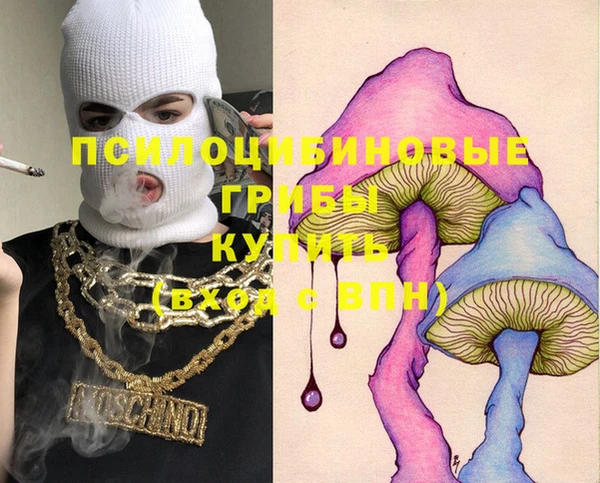 прущие крисы Билибино