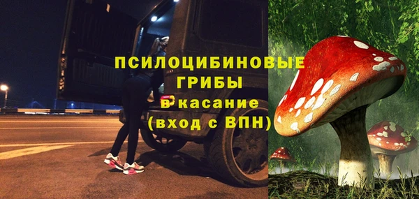прущие крисы Билибино