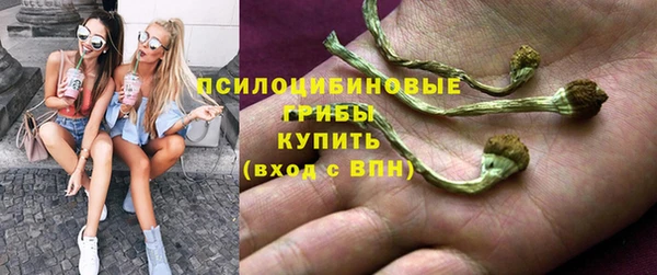 прущие крисы Билибино