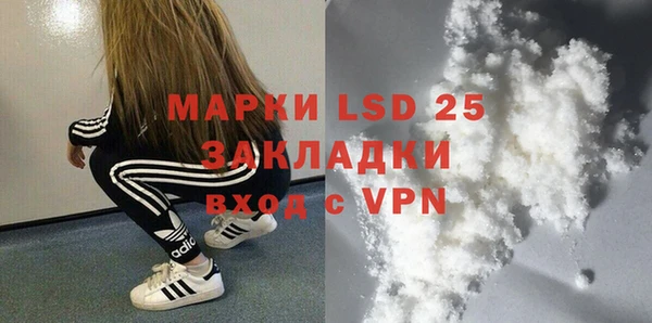 крисы Бикин