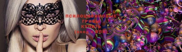 крисы Бикин