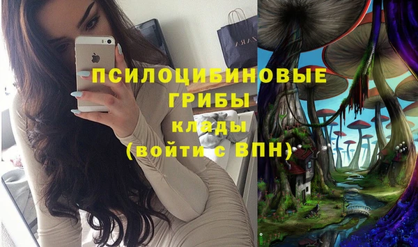 крисы Бикин