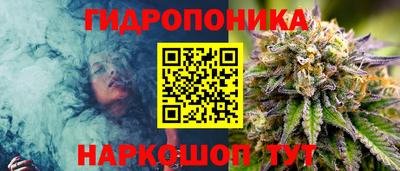 хмурый Гусев