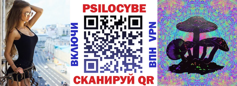 площадка какой сайт  магазин  наркотиков  Качканар  Псилоцибиновые грибы Cubensis 