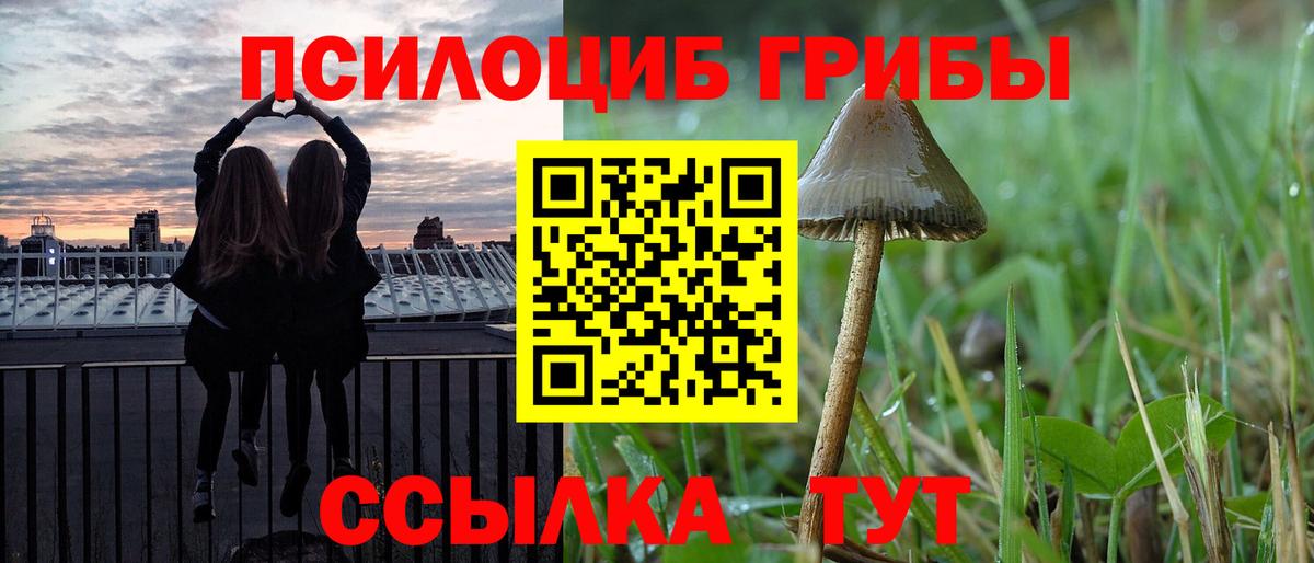 Качканар  Галлюциногенные грибы Magic Shrooms  Вход с VPN 